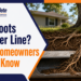 Tree roots growing into a sewer line near a home, showing how roots can damage underground pipes.