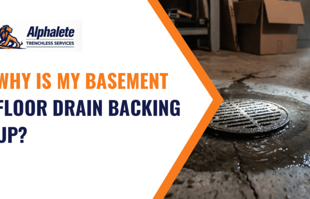 Why Is My Basement Floor Drain Backing Up?