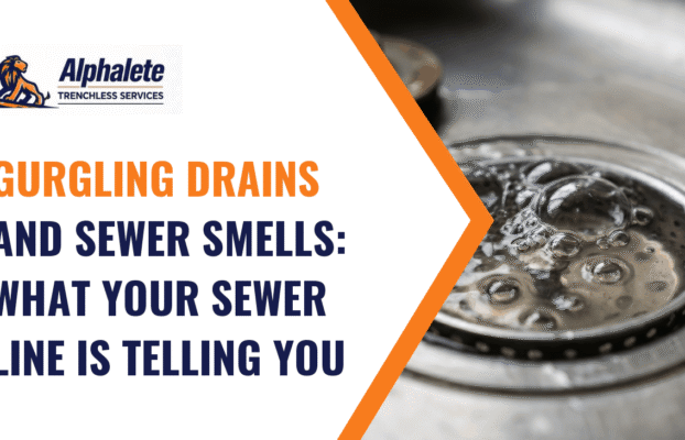 Gurgling Drains and Sewer Smells: What They Mean and What to Do