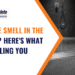 Sewage smell in the house blog header