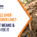 Sinkhole over sewer line blog header.