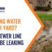 Standing water in yard sewer line blog header.