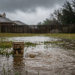 Sewer cleanout surrounded by stormwater flooding in a Colorado backyard
